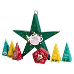 English Tea Shop - Weihnachtsstern zum Aufhängen "Green Star", BIO-Tee, 6 Pyramidenbeutel
